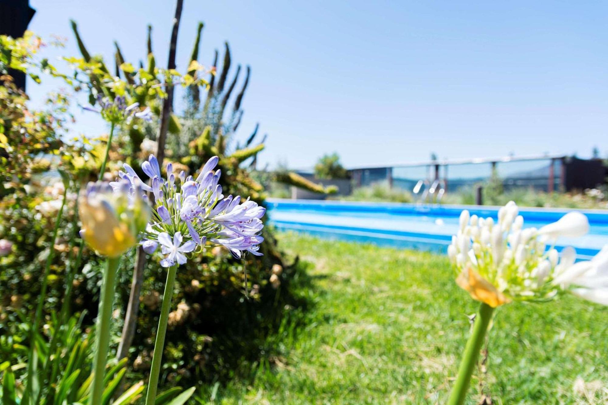 Park Inn By Radisson Los Olivos De Vallenar Exterior photo